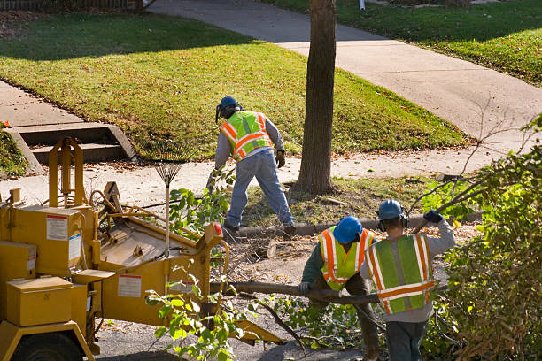 Leaf Removal in Wolfhurst, OH